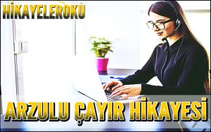Arzulu Çayır Hikayesi