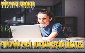 Emilynin Evcil Hayvan Geçidi Hikayesi