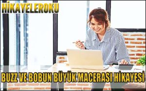 Buzz Ve Bobun Büyük Macerası Hikayesi