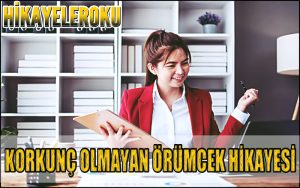 Korkunç Olmayan Örümcek Hikayesi