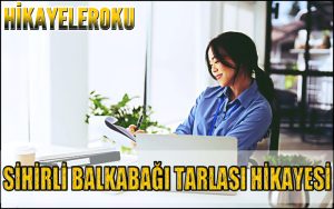 Sihirli Balkabağı Tarlası Hikayesi