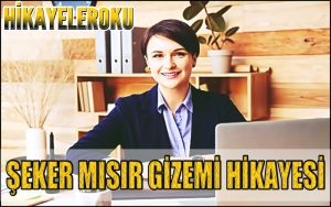 Şeker Mısır Gizemi Hikayesi