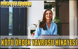 Kötü Ördek Yavrusu Hikayesi