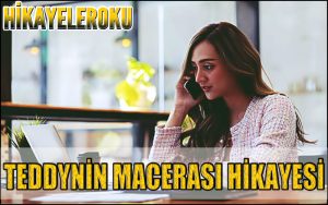 Teddynin Macerası Hikayesi