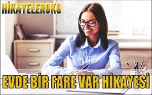 Evde Bir Fare Var Hikayesi
