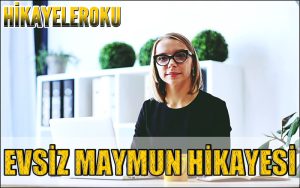 Evsiz Maymun Hikayesi