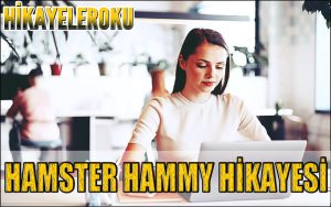 Hamster Hammy Hikayesi