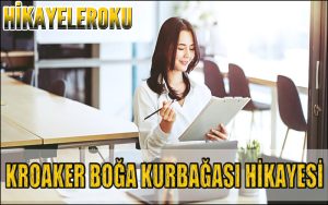 Kroaker Boğa Kurbağası Hikayesi