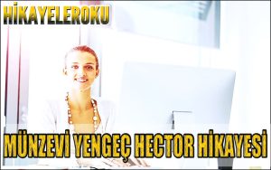 Münzevi Yengeç Hector Hikayesi