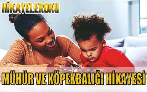 Mühür ve Köpekbalığı Hikayesi