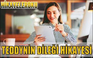 Teddynin Dileği Hikayesi