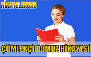 Çömlekçi Domuz Hikayesi