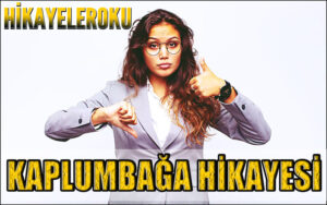 Kaplumbağa Hikayesi