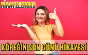 Köpeğin Son Günü Hikayesi
