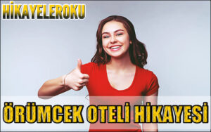 Örümcek Oteli Hikayesi