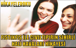 Fıstıkfış İle Cıvıltıpırın Sihirli Halı Havalanı Hikayesi