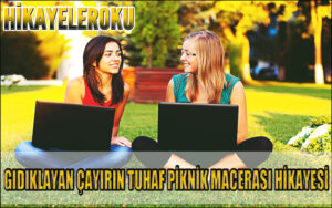 Gıdıklayan Çayırın Tuhaf Piknik Macerası Hikayesi