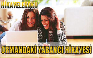 Ormandaki Yabancı Hikayesi
