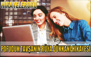 Pofuduk Tavşanın Rüya Dükkânı Hikayesi