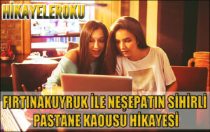 Fırtınakuyruk İle Neşepatın Sihirli Pastane Kaosu Hikayesi