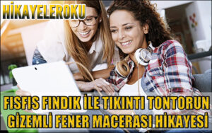 Fısfıs Fındık İle Tıkırtı Tontorun Gizemli Fener Macerası Hikayesi