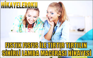 Fıstık Fısfıs İle Tırtır Tırtılın Sihirli Lamba Macerası Hikayesi