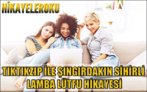 Tıktıkzıp İle Şıngırdakın Sihirli Lamba Lütfu Hikayesi