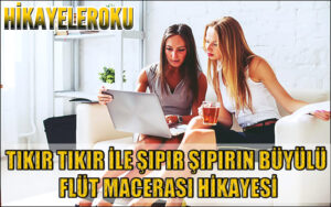 Tıkır Tıkır İle Şıpır Şıpırın Büyülü Flüt Macerası Hikayesi