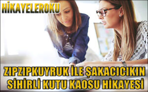 Zıpzıpkuyruk İle Şakacıcıkın Sihirli Kutu Kaosu Hikayesi