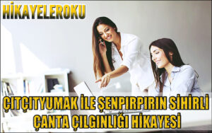 Çıtçıtyumak ile Şenpırpırın Sihirli Çanta Çılgınlığı Hikayesi