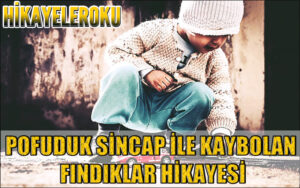 Pofuduk Sincap İle Kaybolan Fındıklar Hikayesi