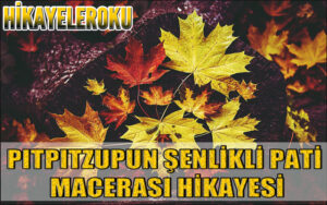 Pıtpıtzupun Şenlikli Pati Macerası Hikayesi