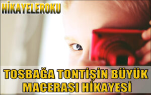 Tosbağa Tontişin Büyük Macerası Hikayesi