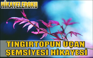 Tıngırtopun Uçan Şemsiyesi Hikayesi