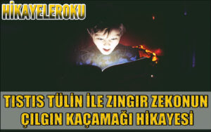 Tıstıs Tülin İle Zıngır Zekonun Çılgın Kaçamağı Hikayesi