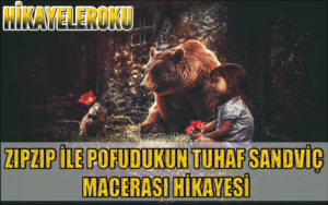 Zıpzıp İle Pofudukun Tuhaf Sandviç Macerası Hikayesi