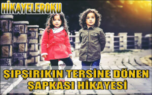 Şıpşırıkın Tersine Dönen Şapkası Hikayesi